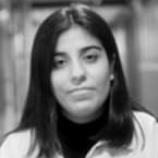 MERVE